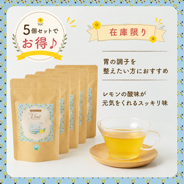 【まとめてお得！5個セット】Raffine ハーブティー　パルファン ドュ ヴァン〈レモンミント〉